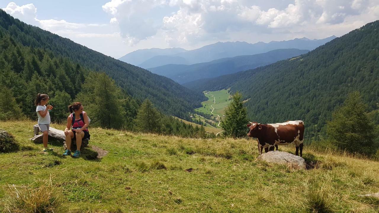 Pension Sonnenhof Маранца Экстерьер фото